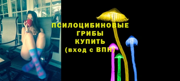 PSILOCYBIN Белокуриха